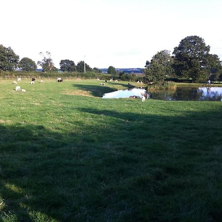 Crich Lane Farm Panzió Alfreton Kültér fotó