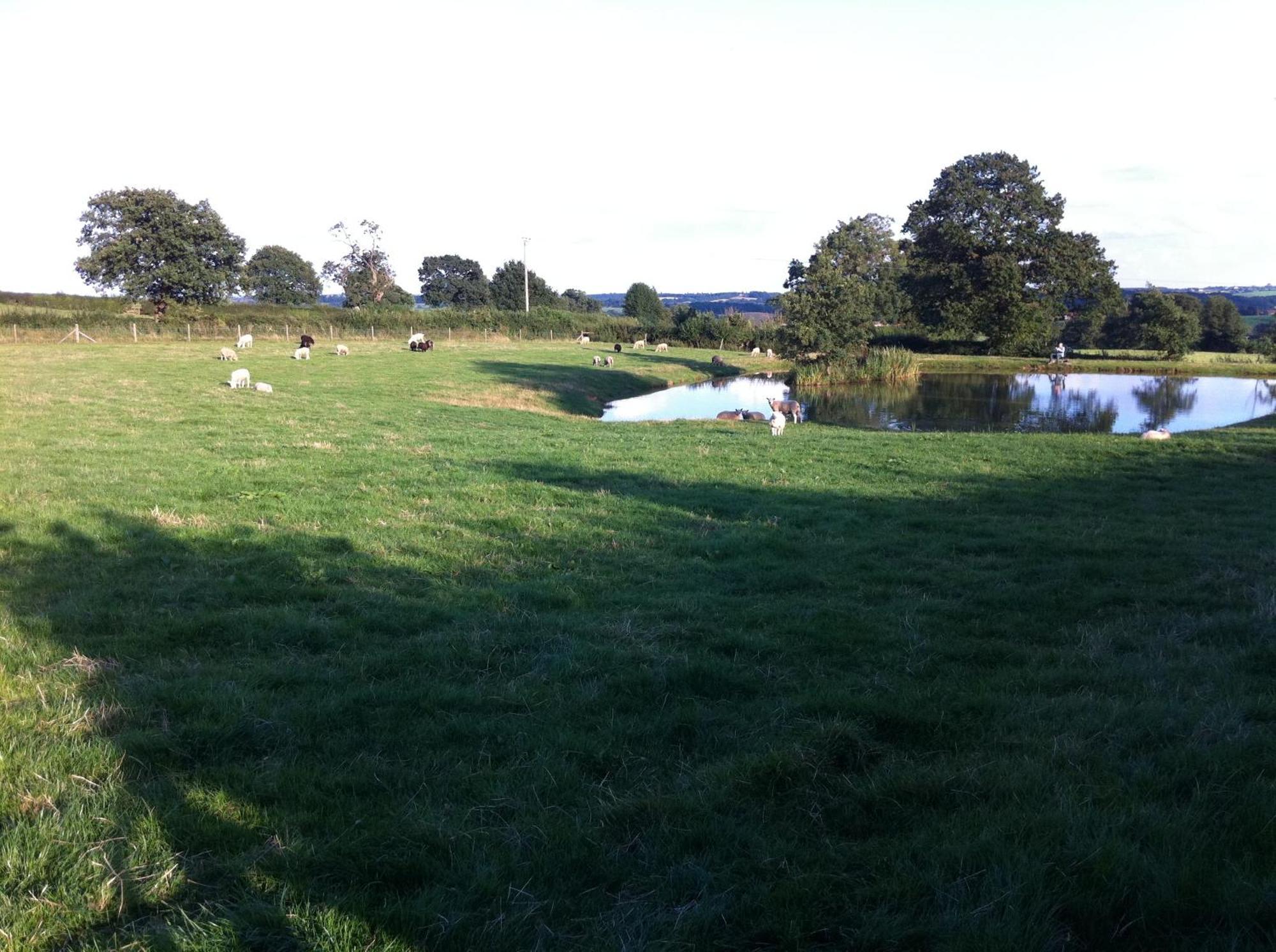 Crich Lane Farm Panzió Alfreton Kültér fotó